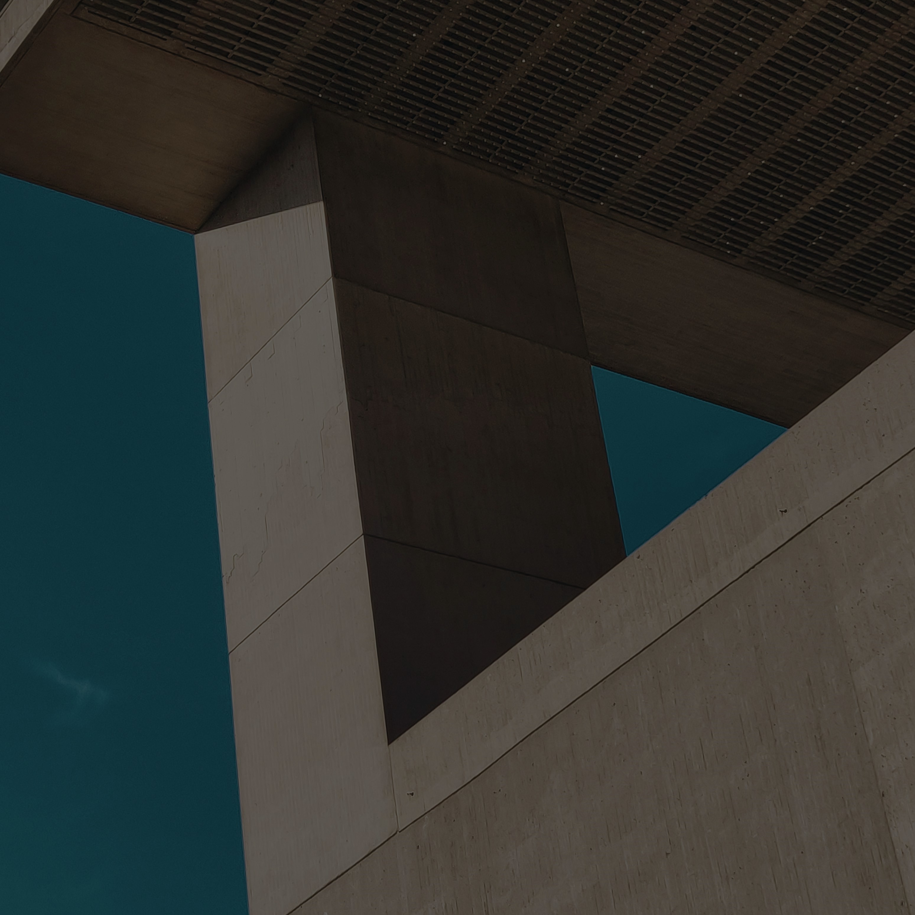 Socio Estratégico - Constructora Darwin